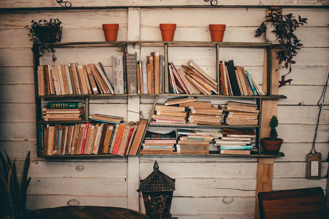 Books and small plants on wooden wall shelves.