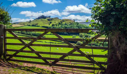 A wooden farm gate overlooking green Welsh countryside