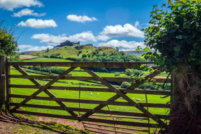A wooden farm gate overlooking green Welsh countryside