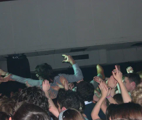 Crowd at a live music performance