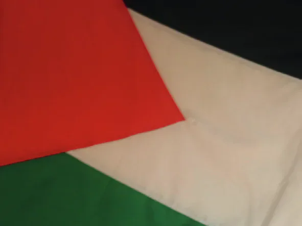 Close view of a Palestinian flag