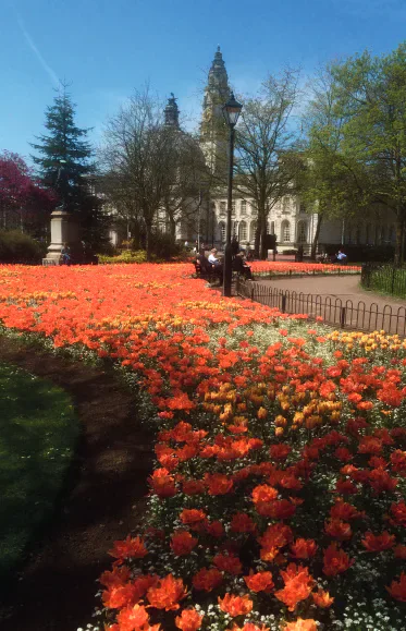 Flower beds in Bute Park with Cardiff Civic Centre buildings beyond