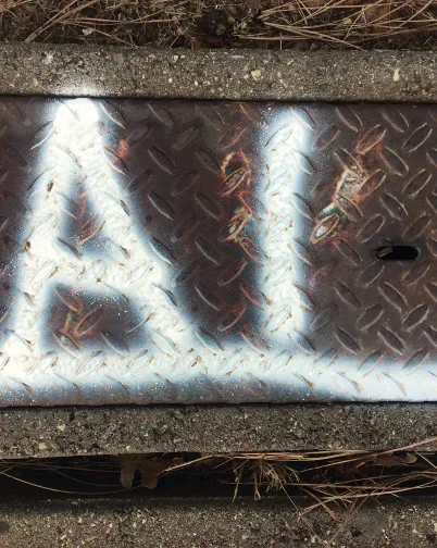 Metal utility cover set into the ground