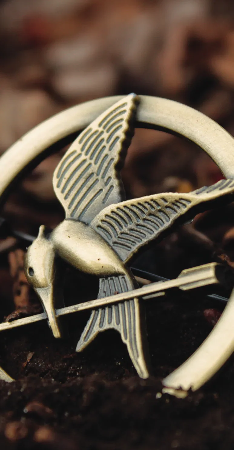 A mockingjay pin.