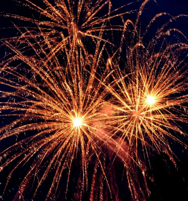 Golden fireworks exploding against a dark night sky
