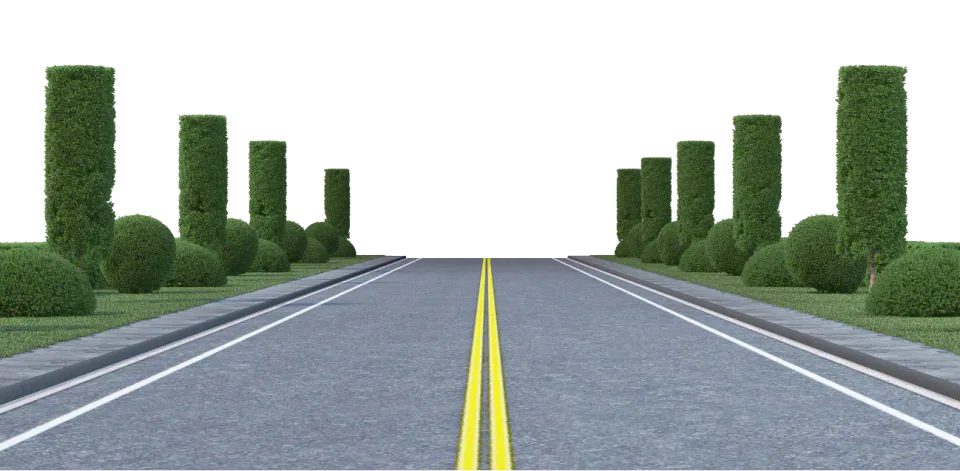 Illustration of a road lined with tall green hedges.
