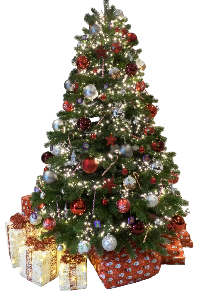 Decorated Christmas tree surrounded by wrapped gifts.