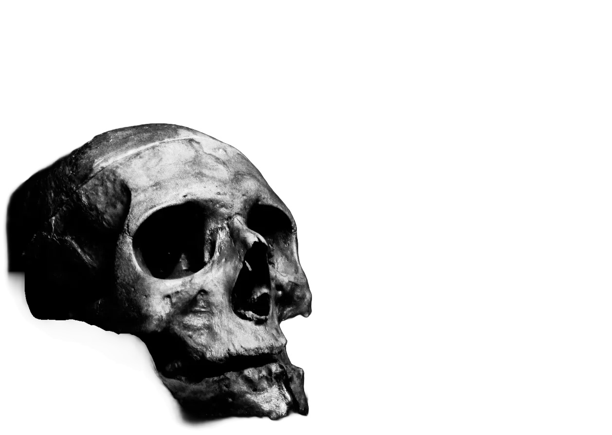 A skull