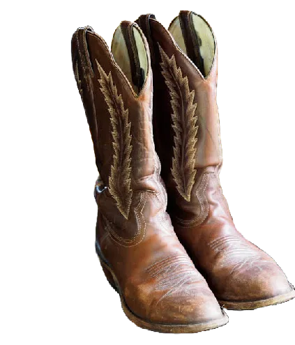 A pair of brown embroidered cowboy boots