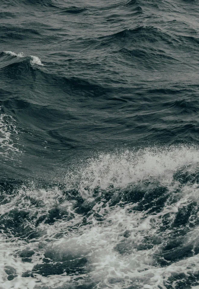 Waves on the ocean surface