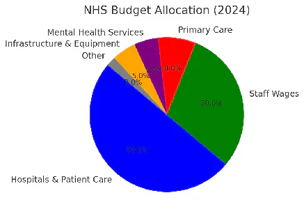 NHS Budget Allocation (2024): pie chart showing hospitals and patient care as the largest share