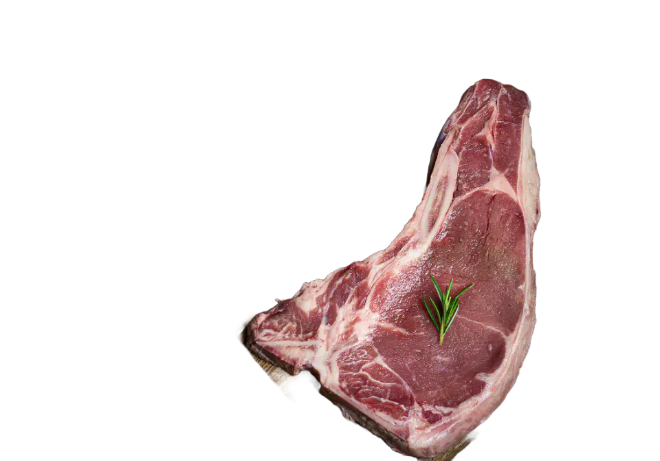 Raw steak with a sprig of rosemary