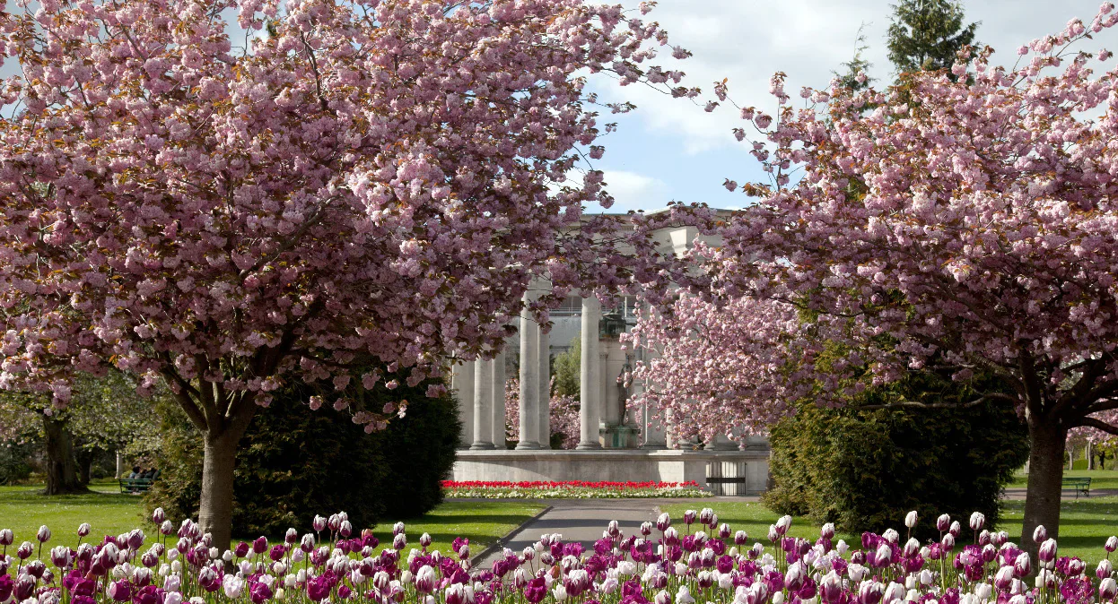 Alexandra Gardens in blossom