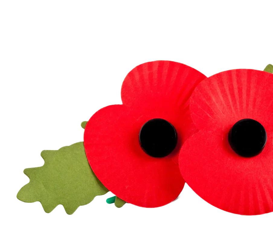 Two red remembrance poppies