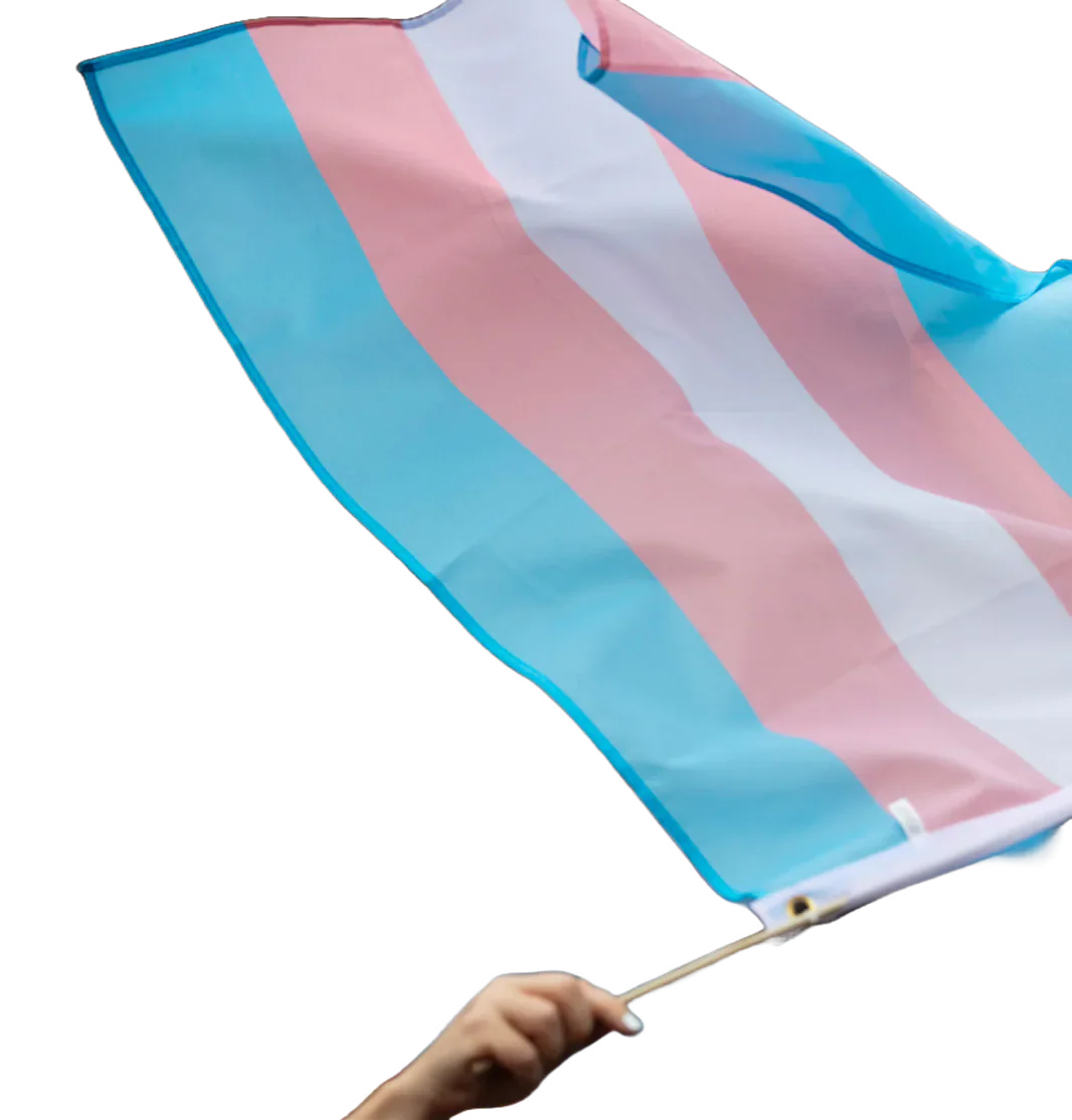 Transgender pride flag being waved
