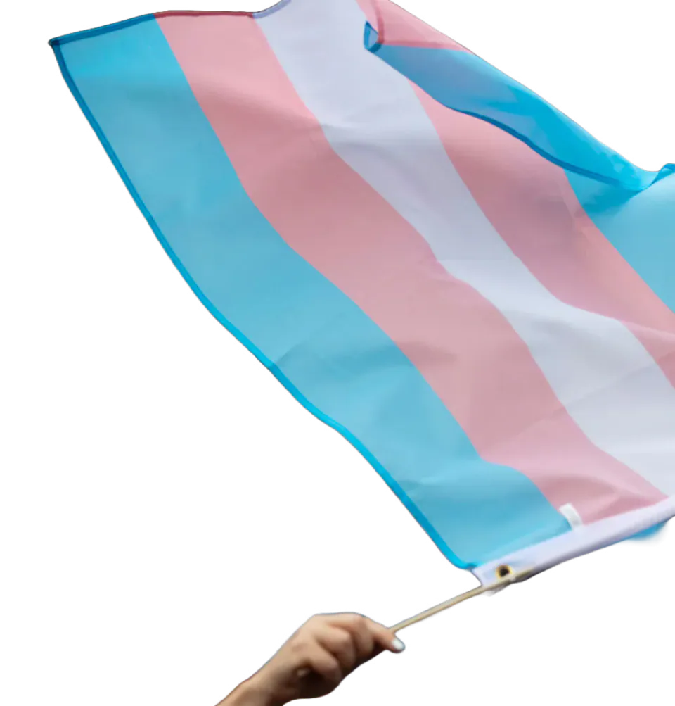 Transgender pride flag being waved