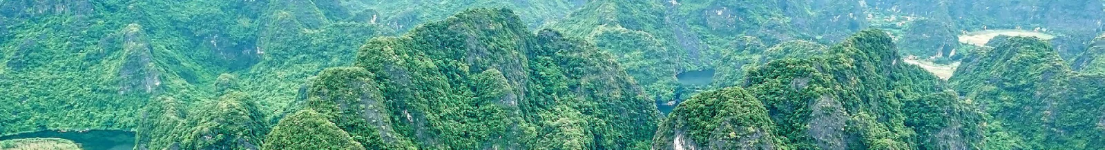 A wide aerial view of a green river valley