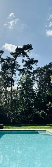 Outdoor swimming pool and trees