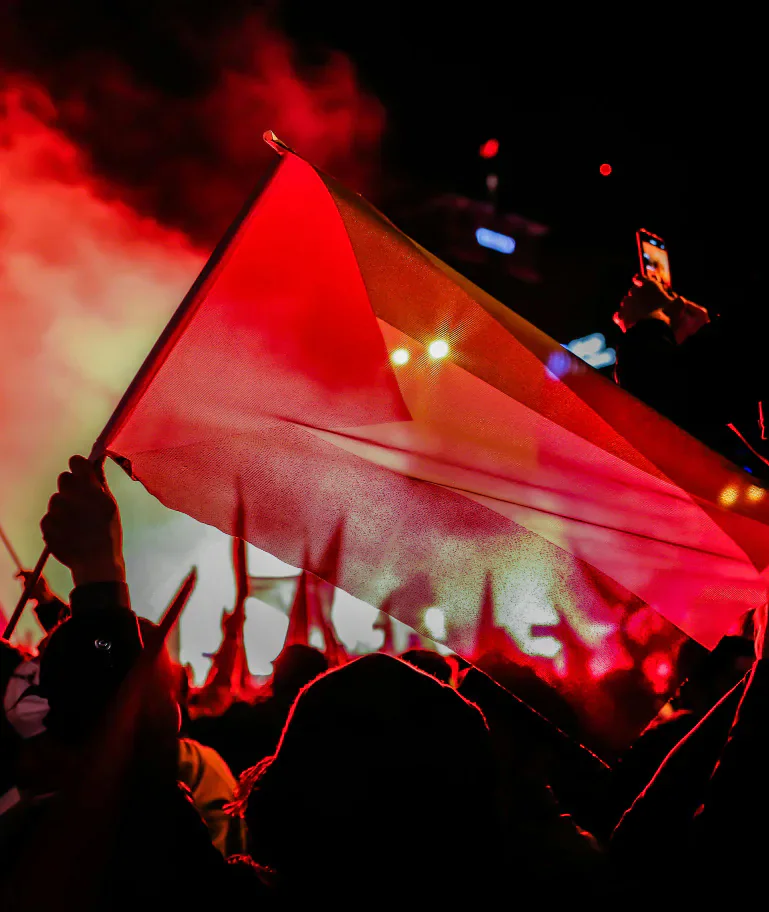 A Palestinian flag held above a crowd at night