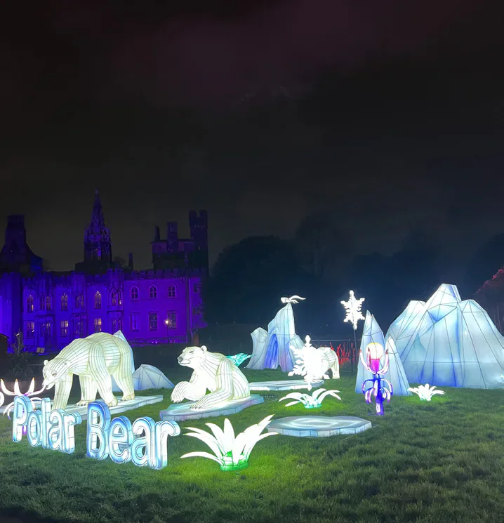 Polar Bear light installation outside Cardiff City Hall