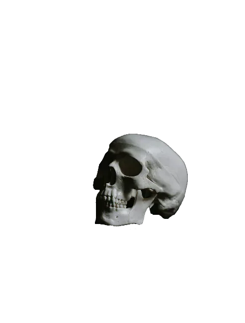 A theatrical hand reaching toward a skull.
