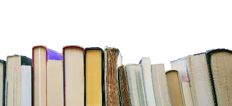 A row of books viewed from their page edges