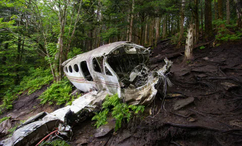 Wreckage of an aircraft in a forest