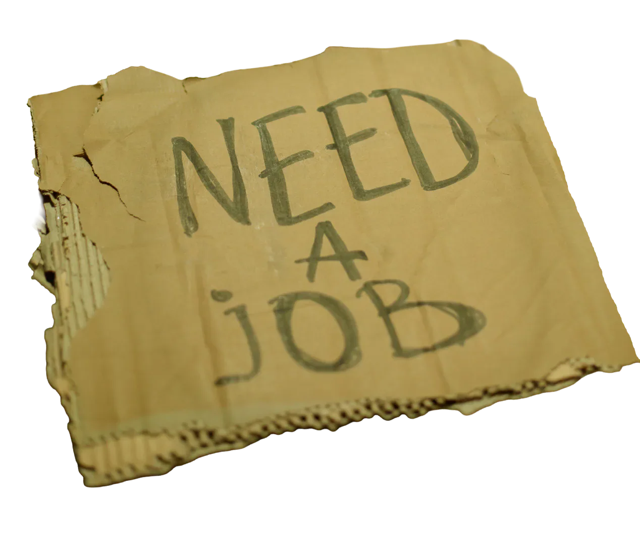 A torn cardboard sign reading ‘Need a job’.