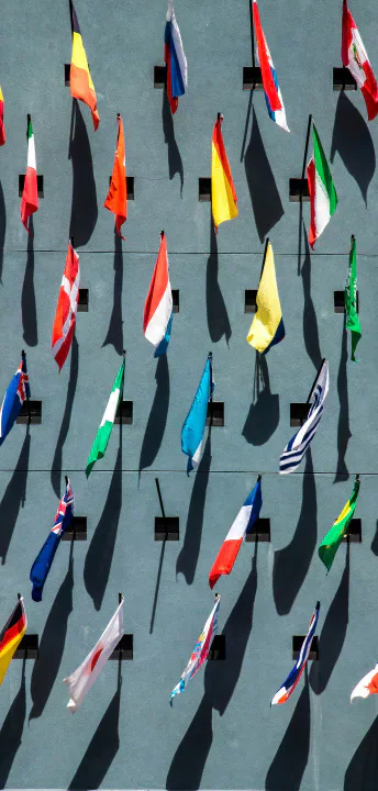 A group of national flags outside an international institution.