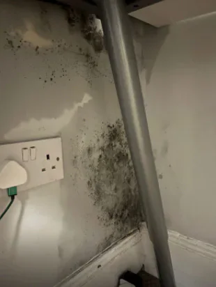 Black mould on a wall beside a power socket.
