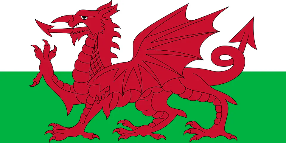 Llwyddiant i Gymru
