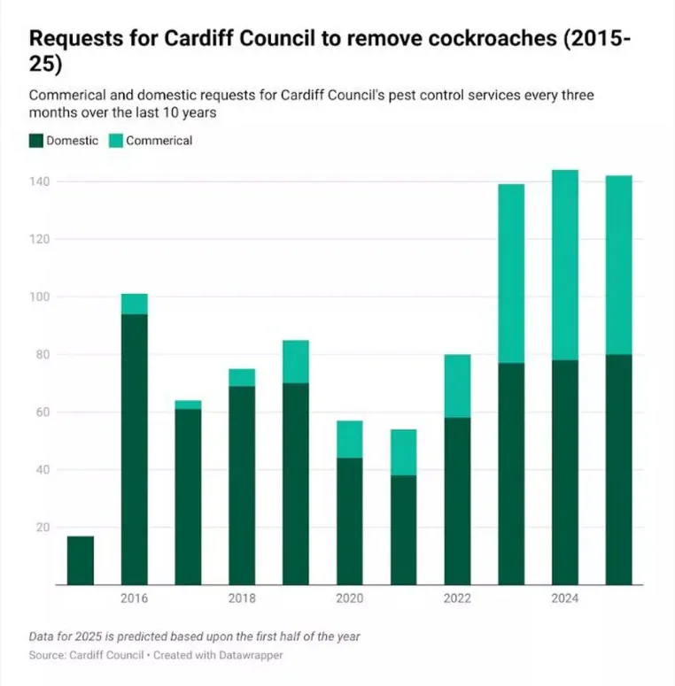 Image accompanying “Cockroach Infestation Found in Cardiff Student Flat, and Experts Warn the Problem is Getting Worse”
