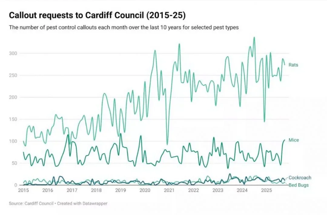 Image accompanying “Cockroach Infestation Found in Cardiff Student Flat, and Experts Warn the Problem is Getting Worse”