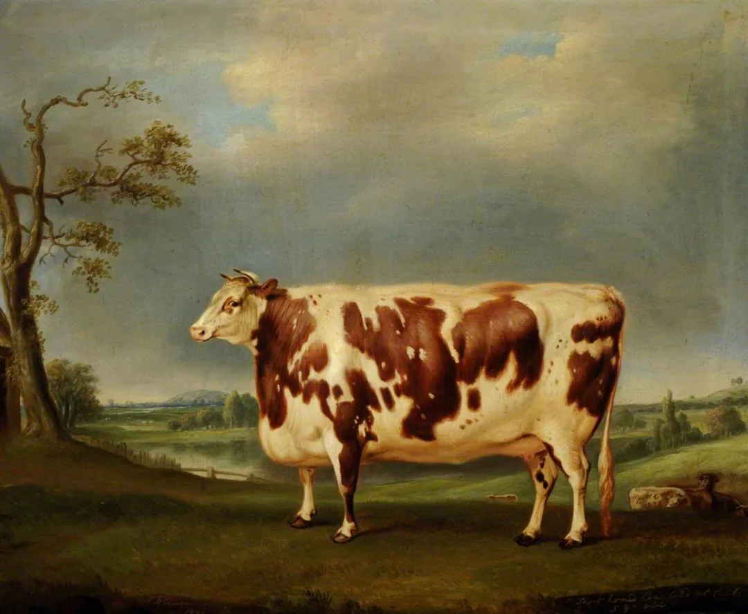 Image accompanying “This Obsession With Protein IS Political”
